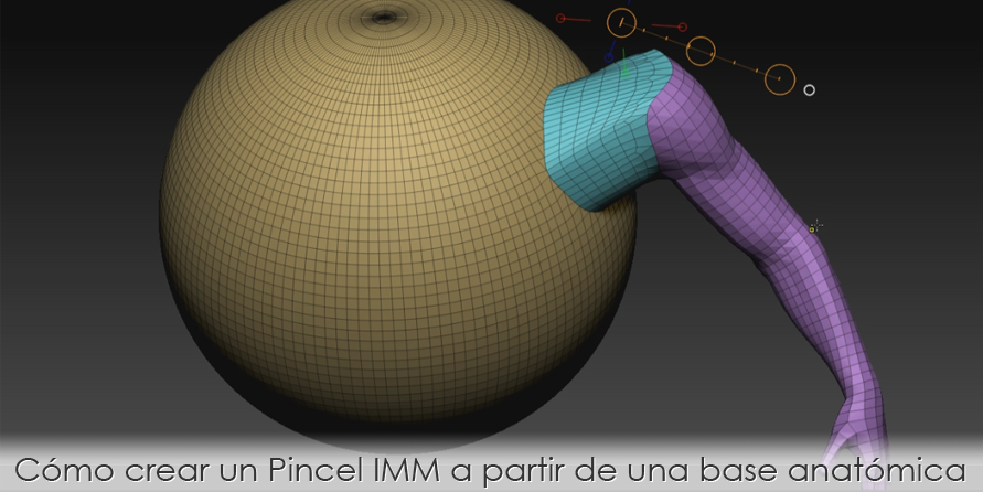 Cómo crear un pincel IMM a partir de una base anatómica