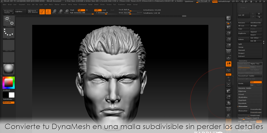 Convierte tu DynaMesh en una malla subdivisible sin perder los detalles
