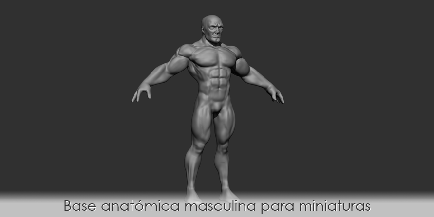 BASE ANATÓMICA MASCULINA PARA MINIATURAS