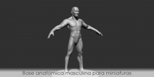 Base anatómica masculina para miniaturas
