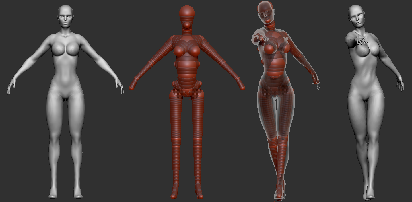 3D rigging ZBrush