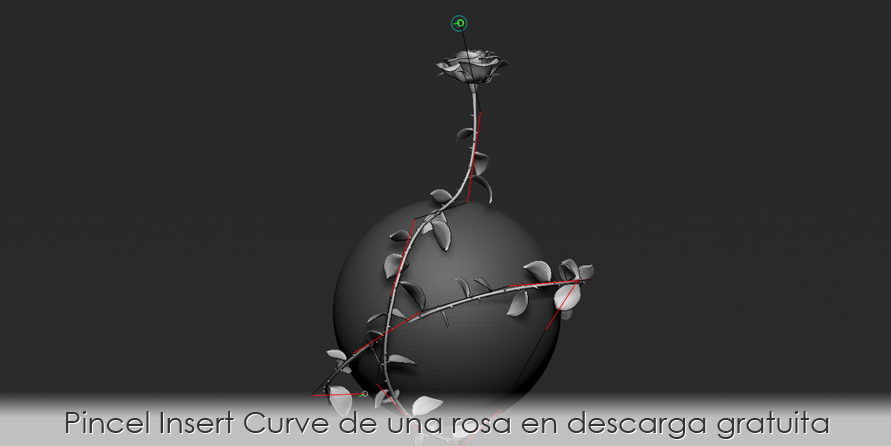 Pincel Insert Curve de una rosa en descarga gratuita